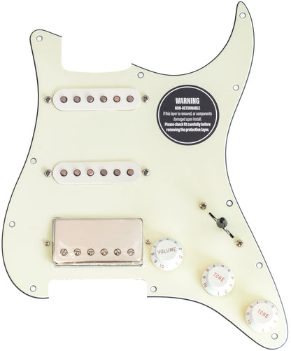 Builder Series: Lambertones Loaded Pickguard