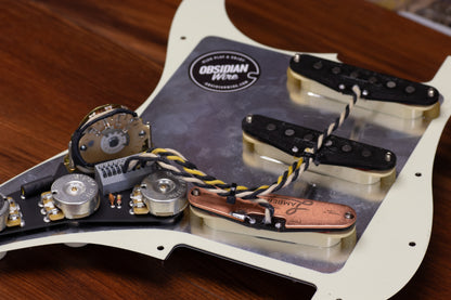 Builder Series: Lambertones Loaded Pickguard
